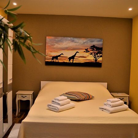 Studio Apartments Luka Biograd - Benkovac Room photo